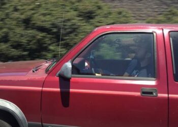 Naked And Confused: Stupid Drivers