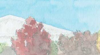 Draft opinion to overturn Roe becomes focus of Senate hearing on ethics reform