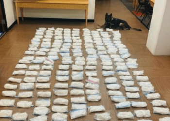 CHP narcotics detecting K9 sniffs out 200 pounds of methamphetamine – Law Officer