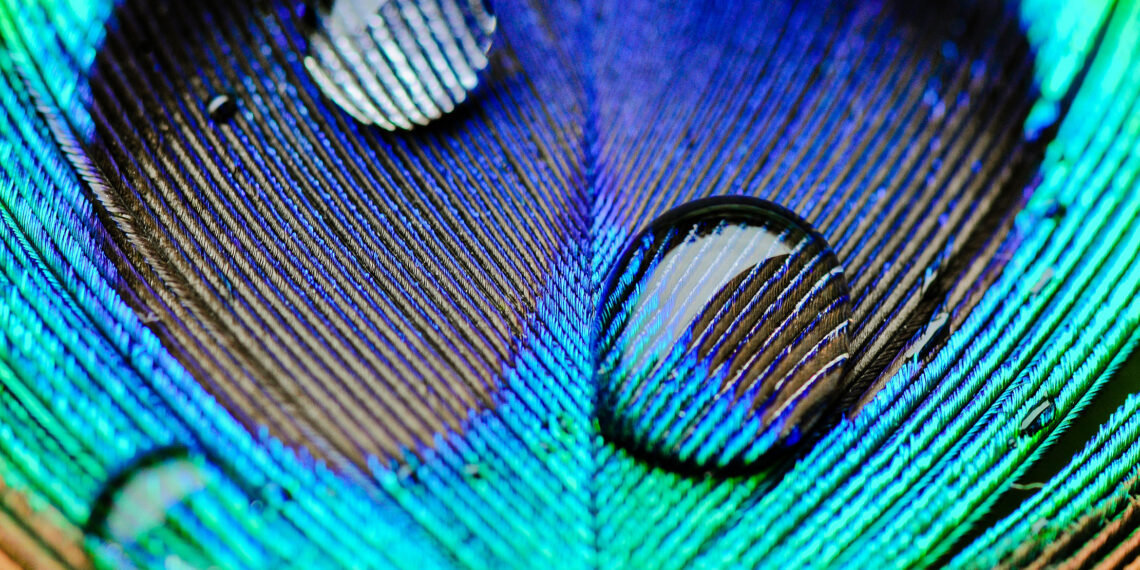 Recent employment law developments (England & Wales)