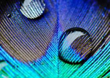 Recent employment law developments (England & Wales)