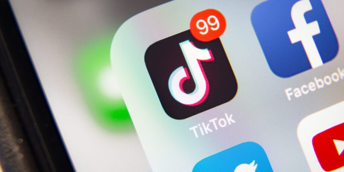 Make Money Monday:  Should Lawyers Use TikTok? – My Shingle