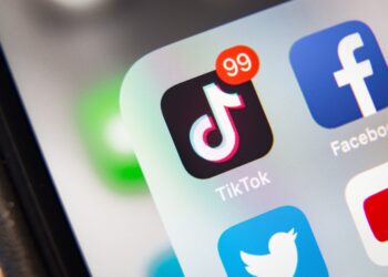 Make Money Monday:  Should Lawyers Use TikTok? – My Shingle