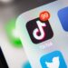 Make Money Monday:  Should Lawyers Use TikTok? – My Shingle