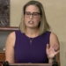 Sinema Says 'DC Solutions' on Guns Not 'Realistic'
