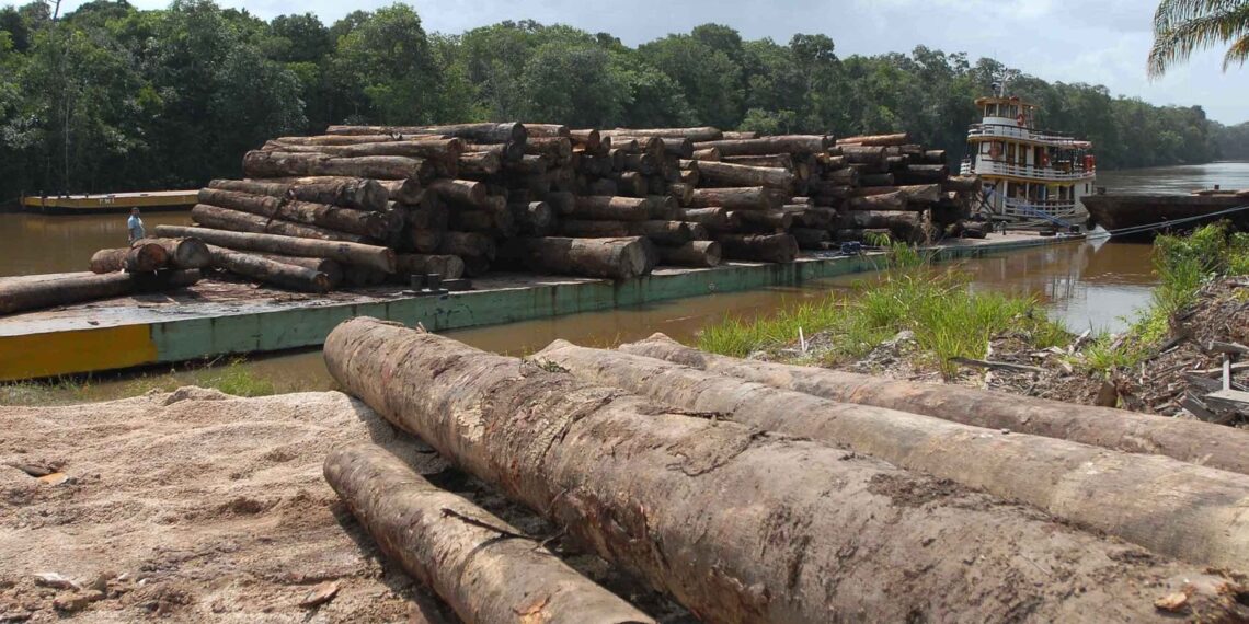 Analyzing Brazil’s failure to protect the Indigenous Peoples of the Amazon — Voices of Promise