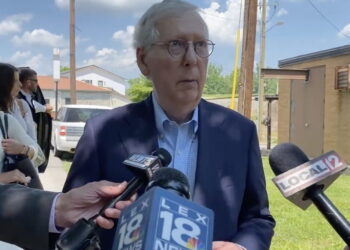 McConnell Says Both Parties 'Might' Come Together to 'Target' Guns Which He Calls a 'Mental Illness' Problem