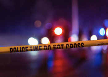 Mother of NYPD officer gunned down in doorway of home – Law Officer