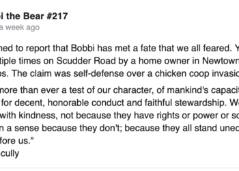 Police officer on leave after allegedly killing beloved black mama bear Bobbi – Law Officer
