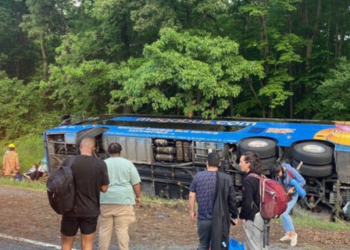 15 people were hospitalized after a Megabus rolled over while on I-95 in Northern Maryland on Sunday morning.