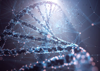 New York court suspends familial DNA searching by law enforcement
