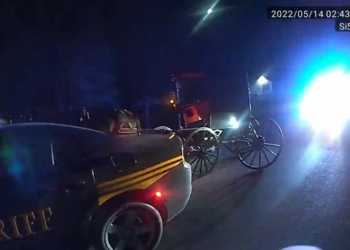 Horse and buggy rams police cruiser while driver snoozes