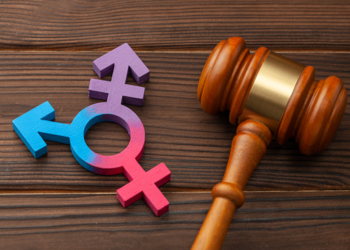 trans flag symbol and gavel