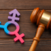 trans flag symbol and gavel