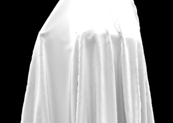 Maine police arrest man hiding under a blanket in ghost disguise