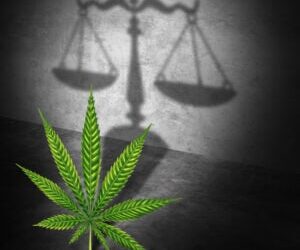 Legal Marijuana Concept