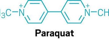 PARAQUAT MDL 3004 UPDATE - Mass Tort News