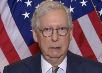 ‘From States Rights to No Rights’: Shock After McConnell Explains Next Steps if GOP Wins the Midterms
