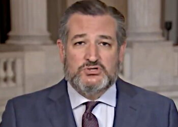 ‘Boldly Ignorant’ Ted Cruz Slammed by Retired NYPD Detective for His Suggestions to Protect Kids