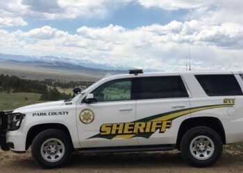 Drunk man responds to 911 call in stolen patrol car, police say