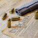 Gun and the US Constitution
