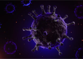 coronavirus