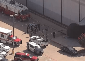 Police identify Texas children’s day camp attacker – Law Officer