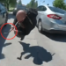 Illinois police