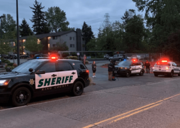 Fugitive murder suspect fatally shot during arrest in Washington – Law Officer