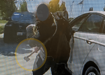 Illinois police officer fatally shoots hatchet-wielding man who showed up on traffic stop – Law Officer