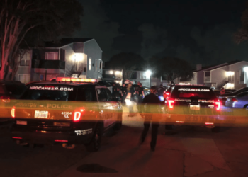 Houston woman fatally shoots suspected stalker as he kicks in front door – Law Officer
