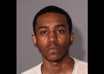 Man who shot at car with kids inside gets 4 months – Law Officer