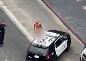Naked man arrested after dancing on top of LAPD patrol unit – Law Officer