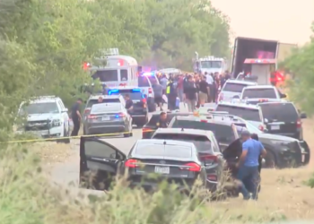At least 46 immigrants found dead inside tractor-trailer in Texas – Law Officer