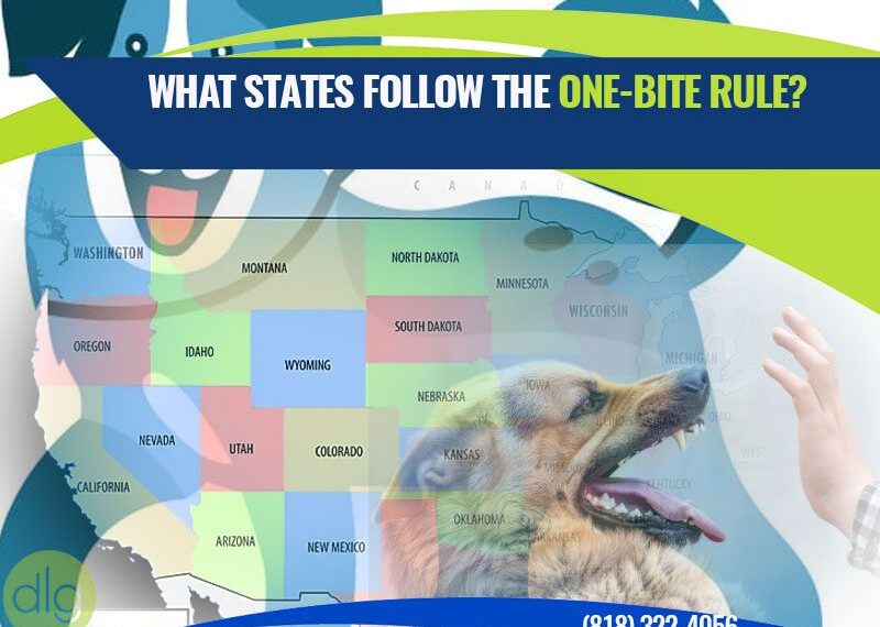 What States Follow the One-Bite Rule?