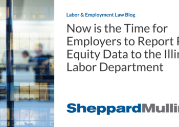 Now is the Time for Employers to Report Pay Equity Data to the Illinois Labor Department