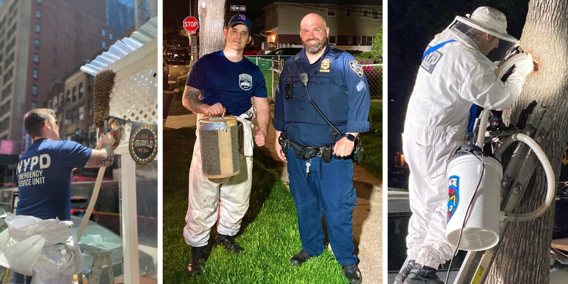 Buzz fuzz: NYPD “bee unit” officers remove swarms from various locations around the city