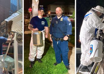 Buzz fuzz: NYPD “bee unit” officers remove swarms from various locations around the city