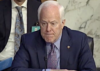 GOP Senator Brags Gun Control 'Not Gonna Happen' Amid at Least 60 Separate Shooting Incidents in Just One Day