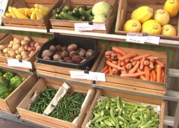 Outdoor Food Market with Vegetables