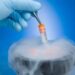 frozen embryo human embryos cryopreservation