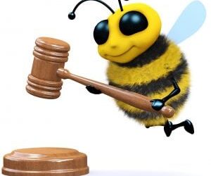 honeybee gavel
