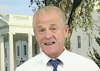 Navarro Indicted by Federal Grand Jury for Contempt of Congress