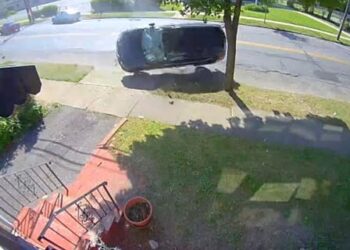 The vehicle rolls down the street before it crashes into a tree and skids to a halt, the video appears to show. 