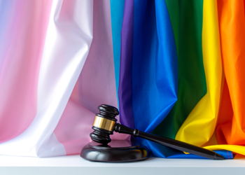 trans flag and gavel
