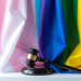 trans flag and gavel