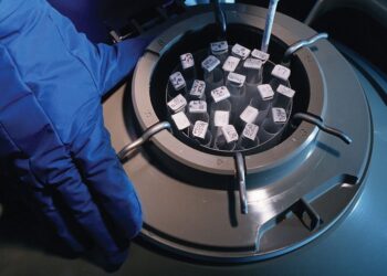 Ex-husband is allowed to represent embryo in wrongful death suit against abortion clinic