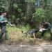 K9 Officer William Byrd (left) commands his police dog named Masco during a training exercise in Mobile, Ala. on Sept. 24, 2020. K9 Officer Justin Washam wears a bite sleeve for a bite demonstration.
