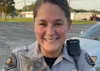 Deputy shot after suspect puts her in stranglehold, gun goes off during struggle