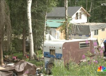 A 15-year-old boy from Alaska allegedly shot and killed three of his seven siblings, ages 5, 8 and 17, before turning the gun on himself at their home near Fairbanks on Tuesday.